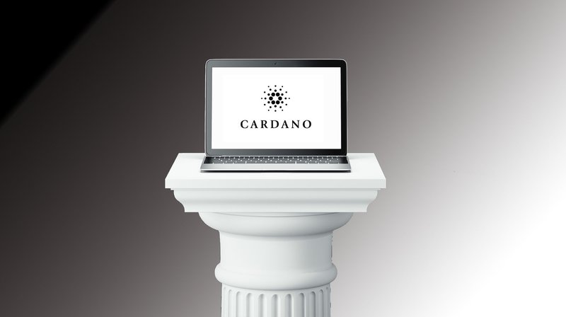 cardano use case